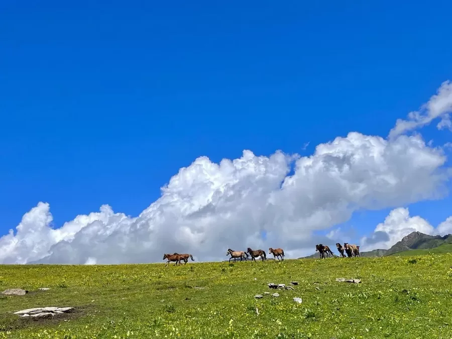 hiking-and-trekking-in-jiuding-mountain-jpg hiking-and-trekking-in-jiuding-mountain-jpg