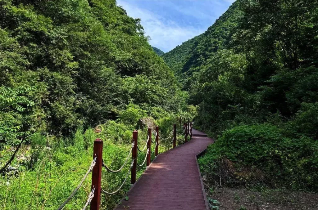 hiking-trails-in-heihe-national-forest-park-1024x677-1 hiking-trails-in-heihe-national-forest-park-1024x677-1