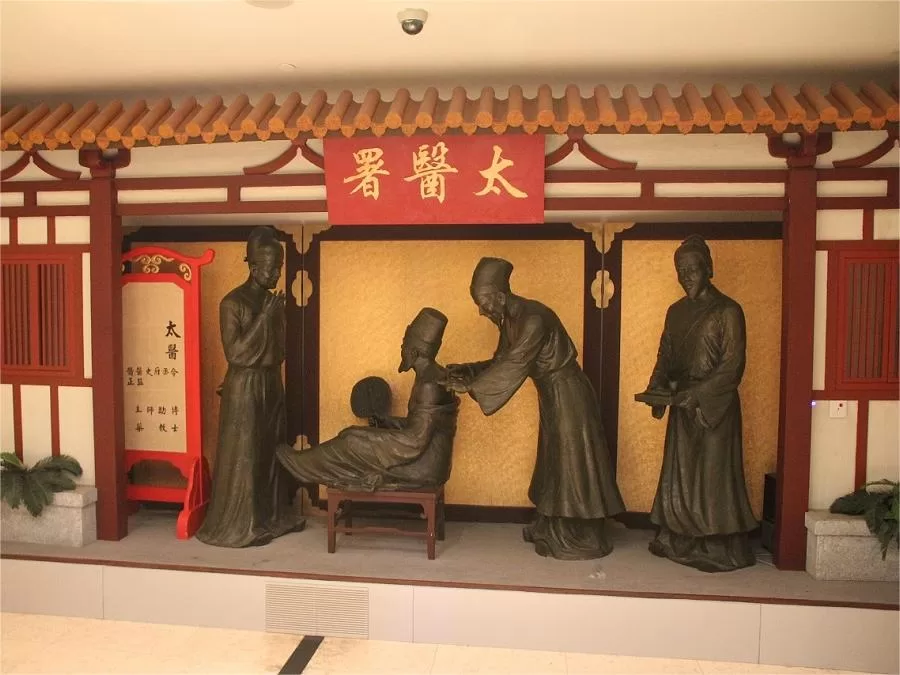 holistic-health-and-wellness-in-shanghai-museum-of-traditional-chiense-medicine-jpg holistic-health-and-wellness-in-shanghai-museum-of-traditional-chiense-medicine-jpg