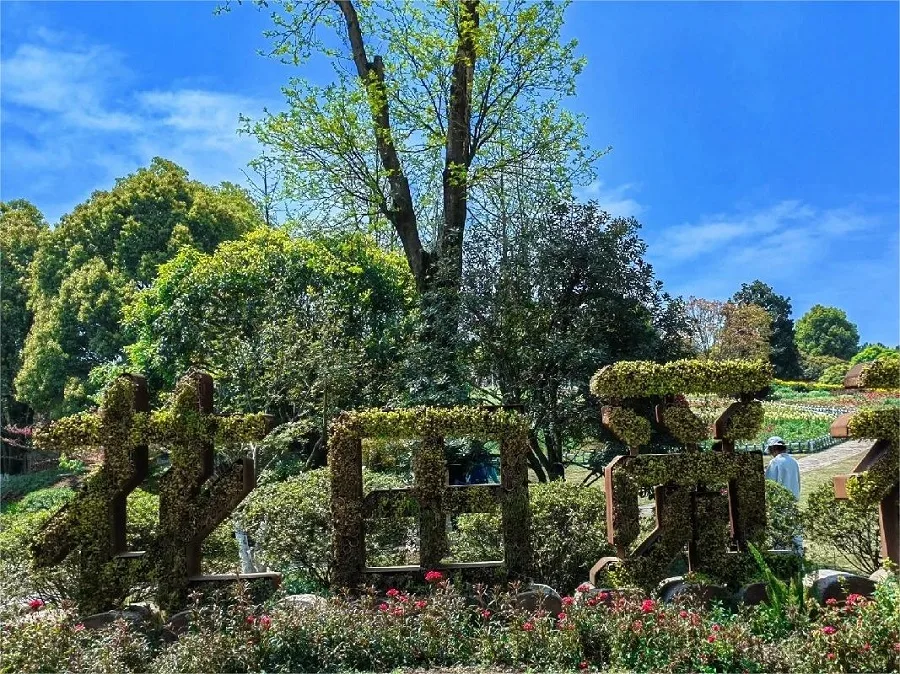 hua-tian-mi-xiang-in-tieshanping-national-forest-park-jpg hua-tian-mi-xiang-in-tieshanping-national-forest-park-jpg