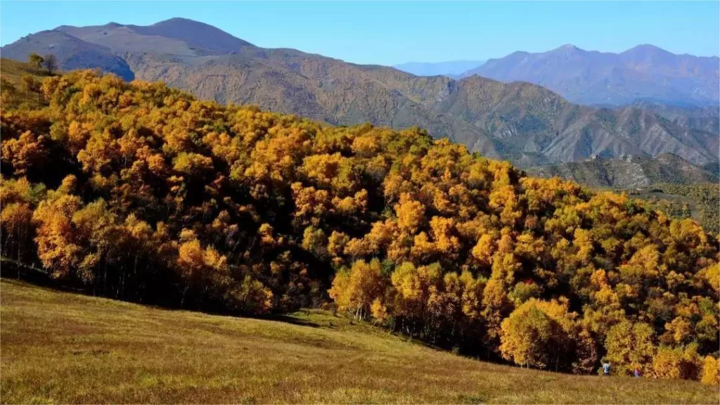 huangcaoliang-mountain-autumn-1024x576-1 huangcaoliang-mountain-autumn-1024x576-1