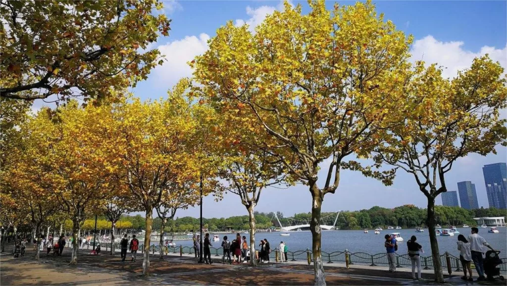 huangpu-park-1024x577-2 huangpu-park-1024x577-2