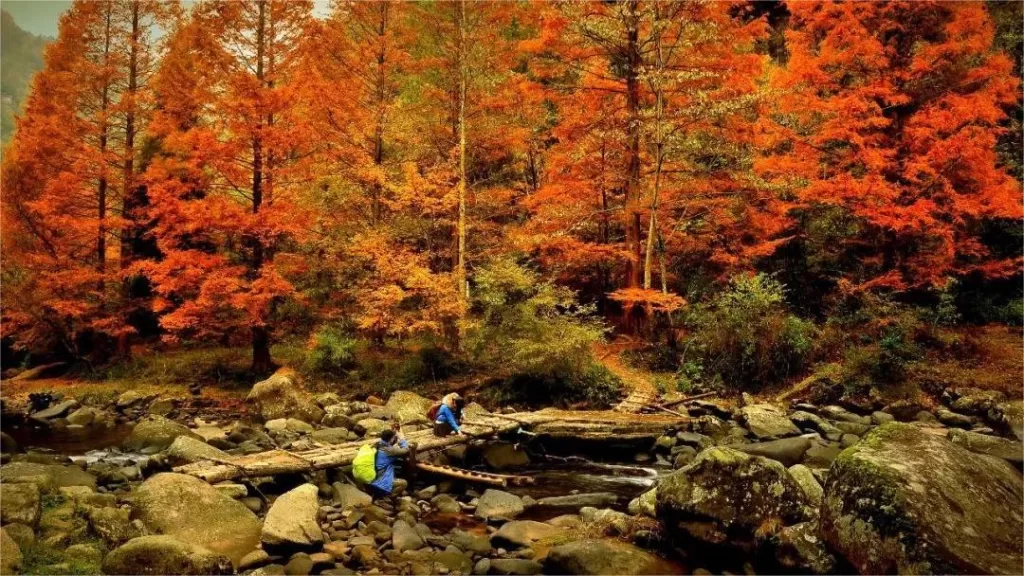 huangshui-national-forest-park-1024x576-1