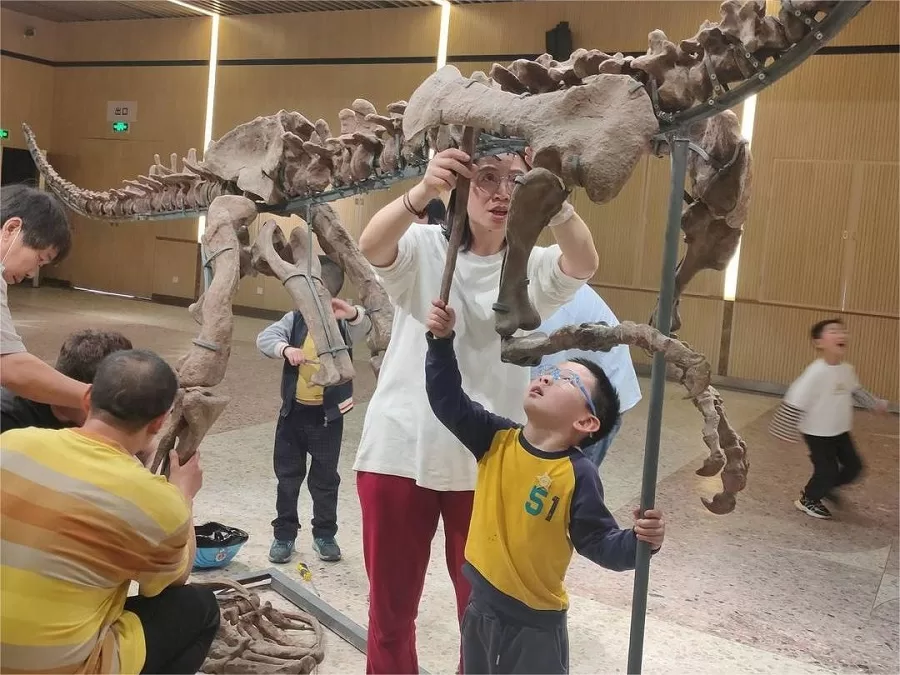 interactive-displays-in-zigong-dinosaur-museum-jpg interactive-displays-in-zigong-dinosaur-museum-jpg