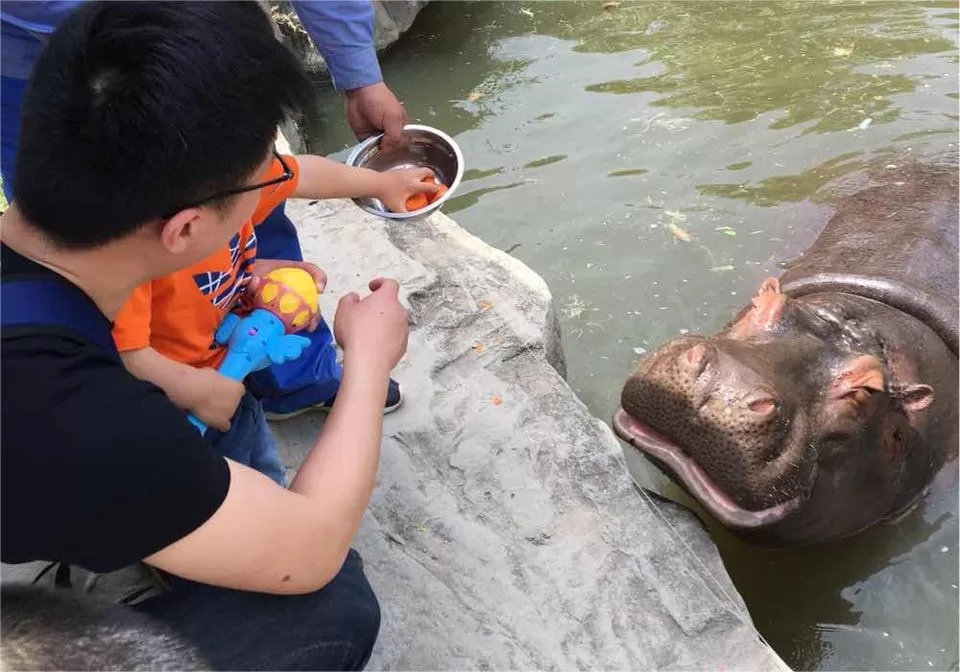 interactive-exhibits-in-shanghai-wild-animal-park-jpg interactive-exhibits-in-shanghai-wild-animal-park-jpg