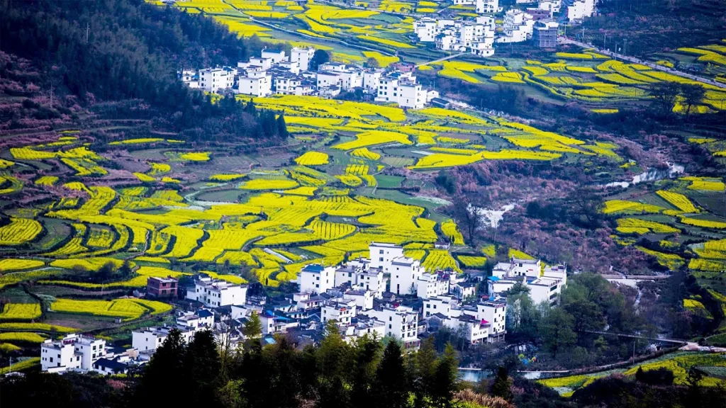 jiangling-village-wuyuan-1024x576-10 jiangling-village-wuyuan-1024x576-10