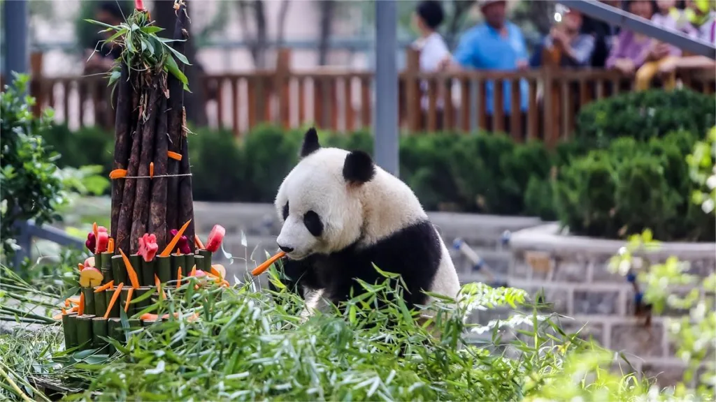 jinan-zoo-shandong-1024x576-2 jinan-zoo-shandong-1024x576-2