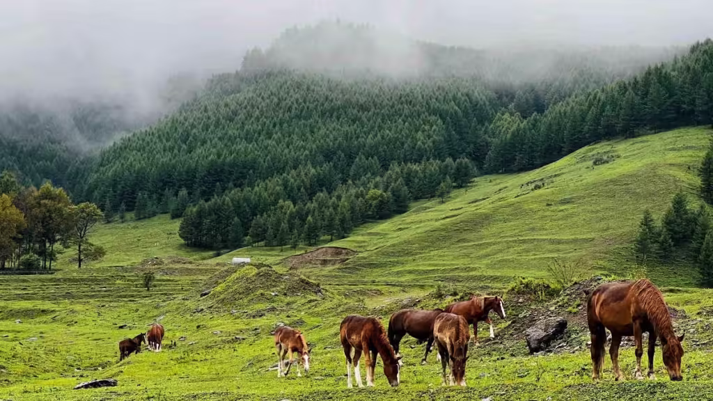 jinxiu-peak-in-mount-wutai-1024x576.avif_-1