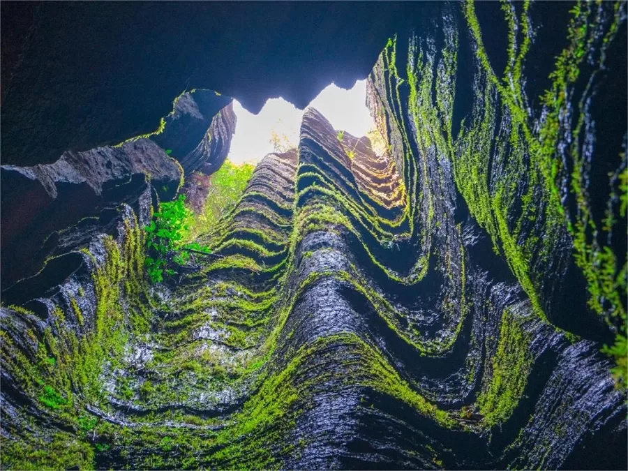 jiulong-hui-in-suobuya-stone-forest-jpg jiulong-hui-in-suobuya-stone-forest-jpg