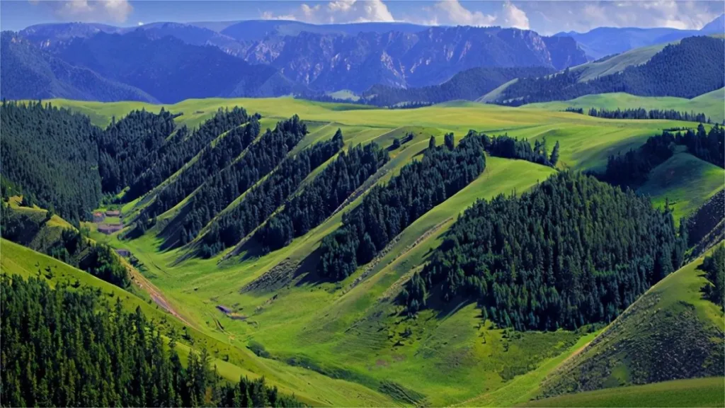 kangle-grassland-1024x576-1 kangle-grassland-1024x576-1