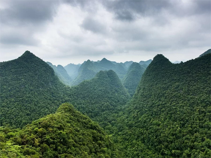 karst-forest-in-maolan-national-nature-reserve-jpg karst-forest-in-maolan-national-nature-reserve-jpg