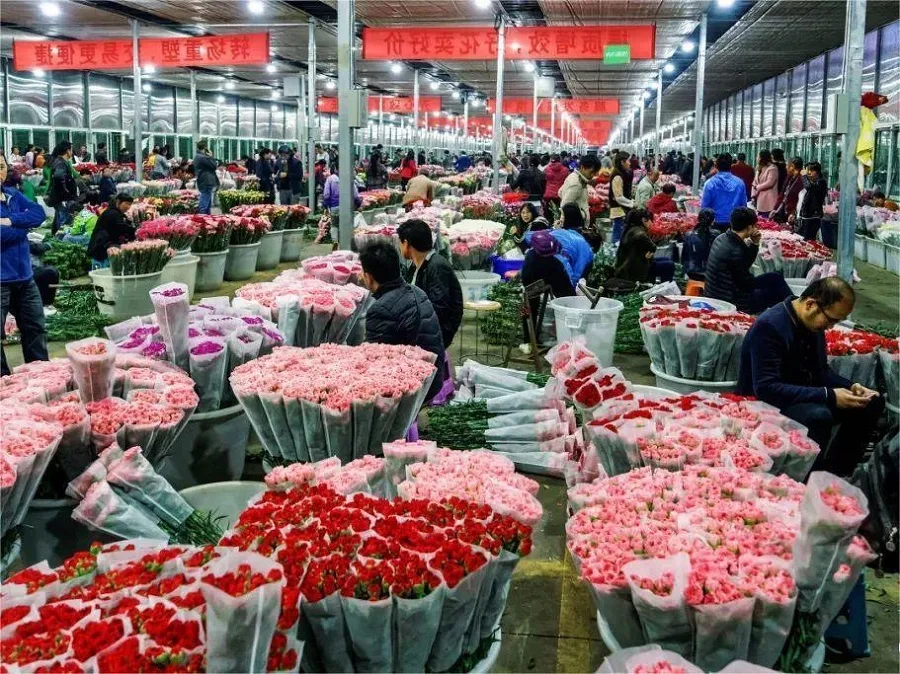 kunming-dounan-flower-market-2-jpg kunming-dounan-flower-market-2-jpg