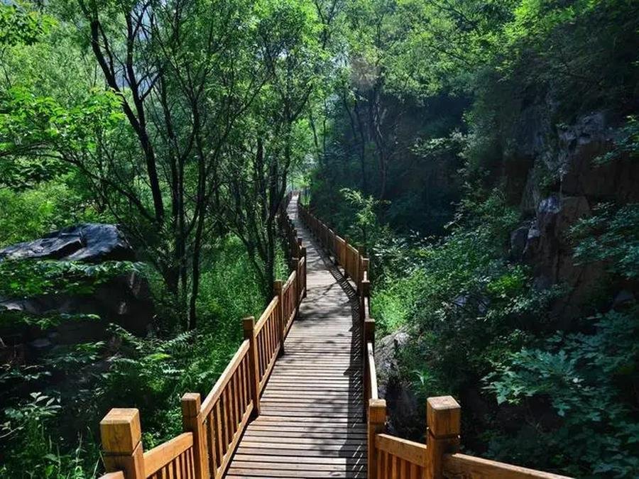 lakeside-plank-path-in-huagnhuacheng-water-great-wall lakeside-plank-path-in-huagnhuacheng-water-great-wall