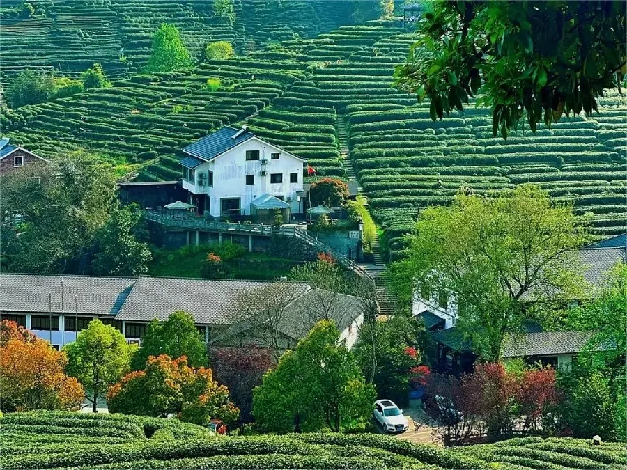 langdang-ridge-in-meijiawu-village-jpg langdang-ridge-in-meijiawu-village-jpg