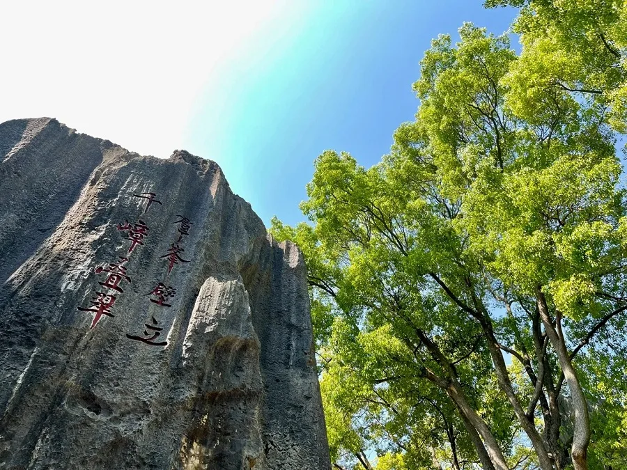 large-and-small-stone-forests-in-kunming-stone-forest-jpg large-and-small-stone-forests-in-kunming-stone-forest-jpg