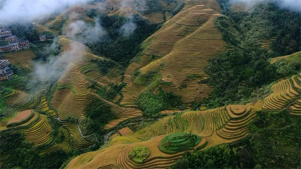 longji-rice-terraces-1024x575-2