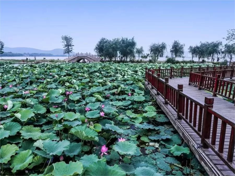 lotus-hall-pavilion-area-in-yunlong-park-xuzhou-jpg lotus-hall-pavilion-area-in-yunlong-park-xuzhou-jpg