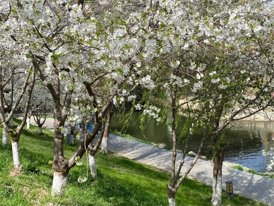 luopu-Park-luoyang-3-jpg luopu-Park-luoyang-3-jpg