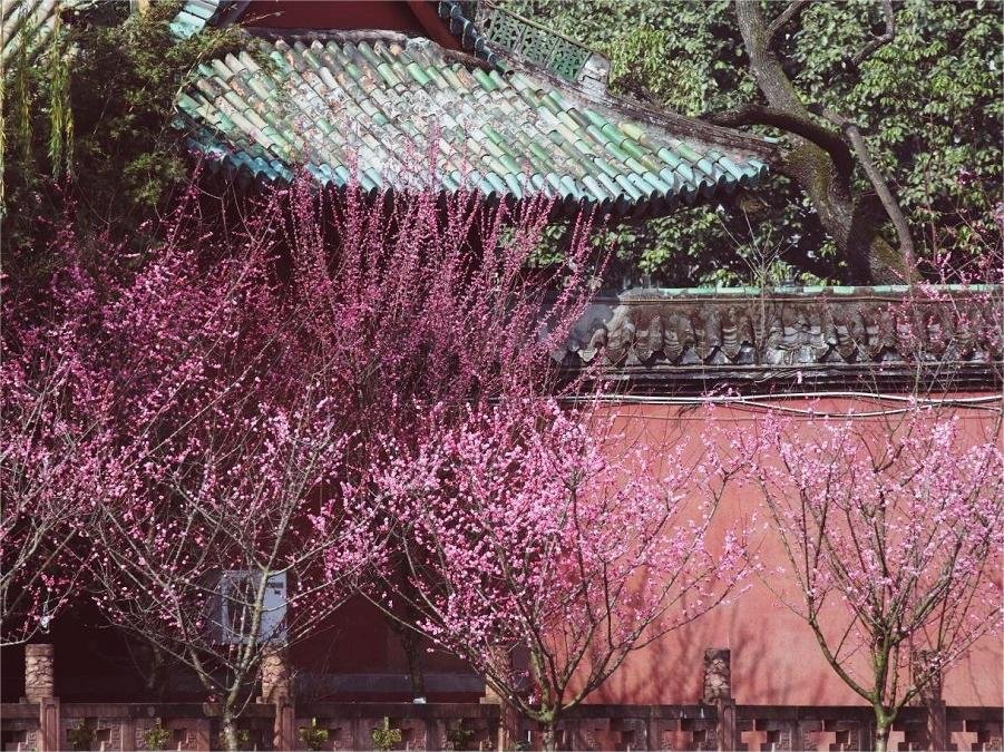 lush-gardens-in-wangjianglou-park lush-gardens-in-wangjianglou-park