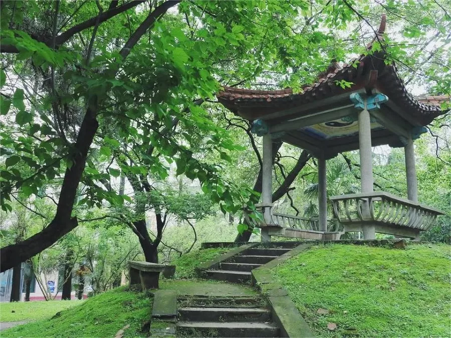 lush-vegetation-in-luojia-hill-jpg lush-vegetation-in-luojia-hill-jpg