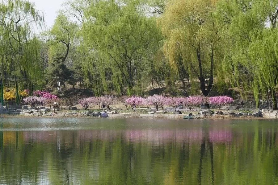 magnificent-gardens-in-yuanmingyuan-jpg magnificent-gardens-in-yuanmingyuan-jpg