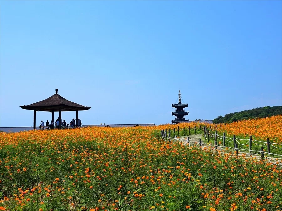 man-made-soil-hill-in-nianhau-bay-jpg man-made-soil-hill-in-nianhau-bay-jpg