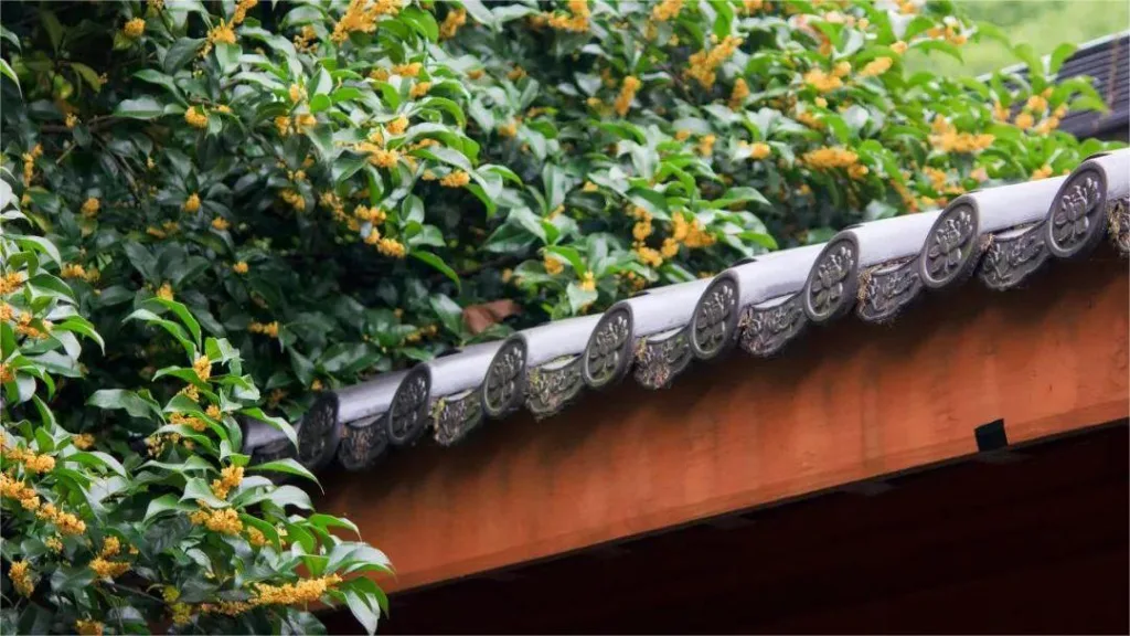 manjuelong-village-1024x576-2 manjuelong-village-1024x576-2