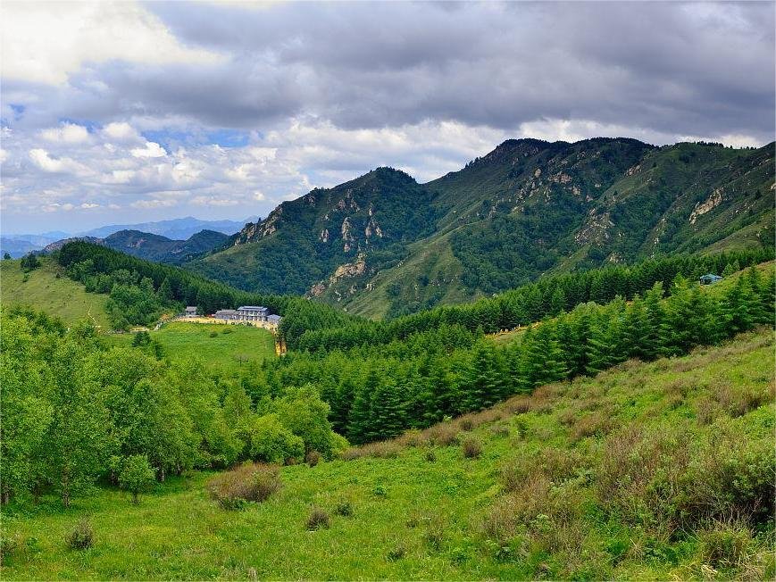 marshy-grassland-in-wuyuezhai-lingshou marshy-grassland-in-wuyuezhai-lingshou