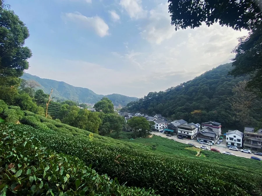 meijiawu-tea-village-1-jpg meijiawu-tea-village-1-jpg