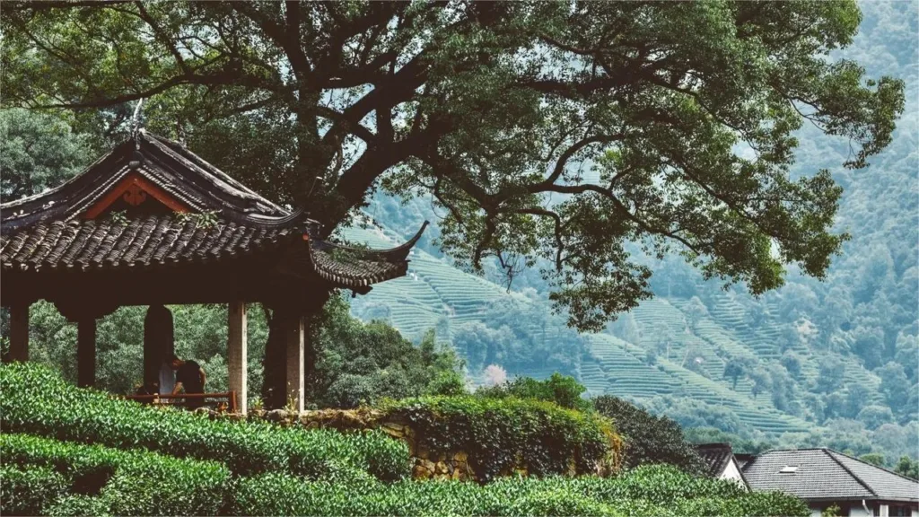 meijiawu-tea-village-1024x576-1