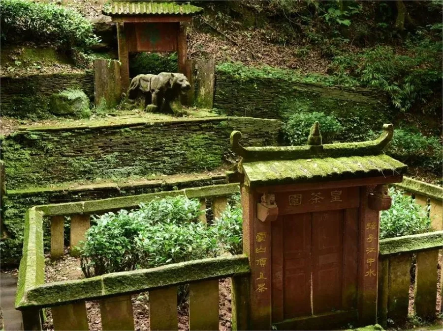 mengding-ancient-tea-garden-jpeg mengding-ancient-tea-garden-jpeg