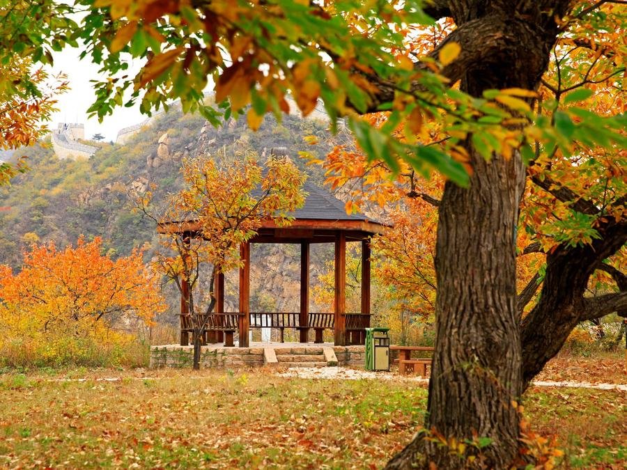 ming-dynasty-chestnut-garden-in-huagnhuacheng-water-great-wall ming-dynasty-chestnut-garden-in-huagnhuacheng-water-great-wall