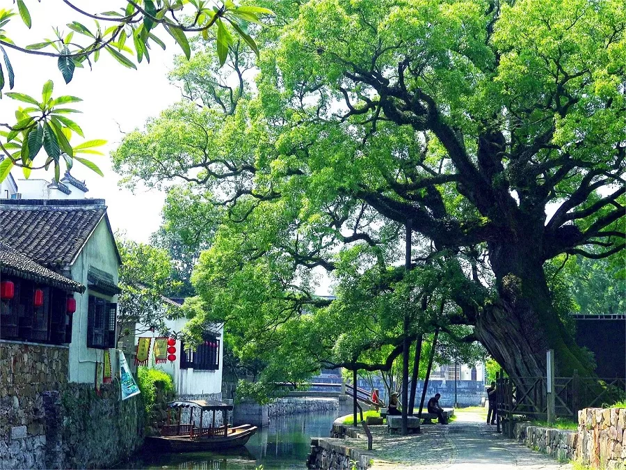 mingyuewan-village-jpg mingyuewan-village-jpg