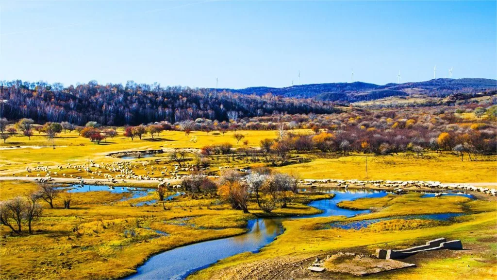 mulan-weichang-1024x576-2 mulan-weichang-1024x576-2