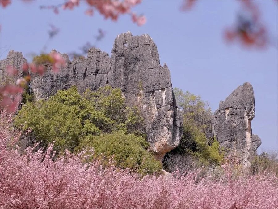 naigu-stone-forest-in-kunming-stone-forest-jpg naigu-stone-forest-in-kunming-stone-forest-jpg