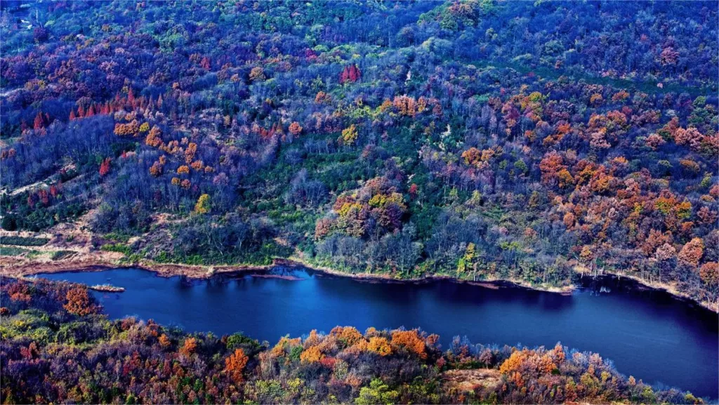 nanjing-laoshan-national-forest-park-1024x577-3 nanjing-laoshan-national-forest-park-1024x577-3