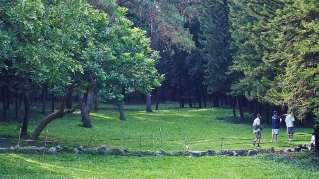 nanning-peples-park-1024x576.avif_