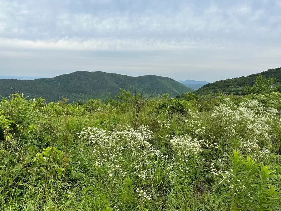 natural-beauty-of-wawu-mountain-scenic-area-liyang-jpg natural-beauty-of-wawu-mountain-scenic-area-liyang-jpg