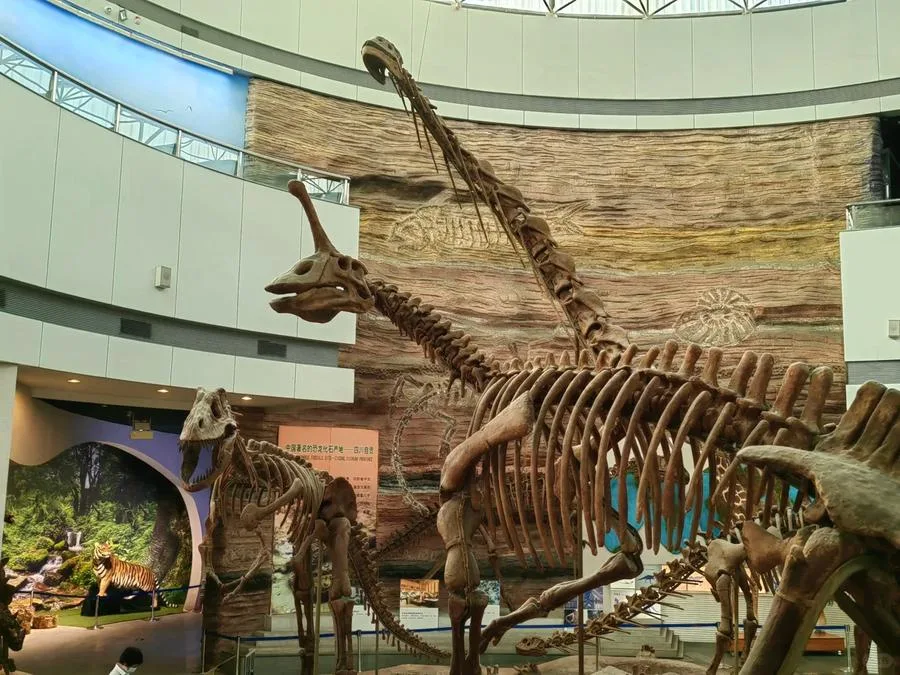 natural-history-exhibition-in-fujian-museum-jpg natural-history-exhibition-in-fujian-museum-jpg