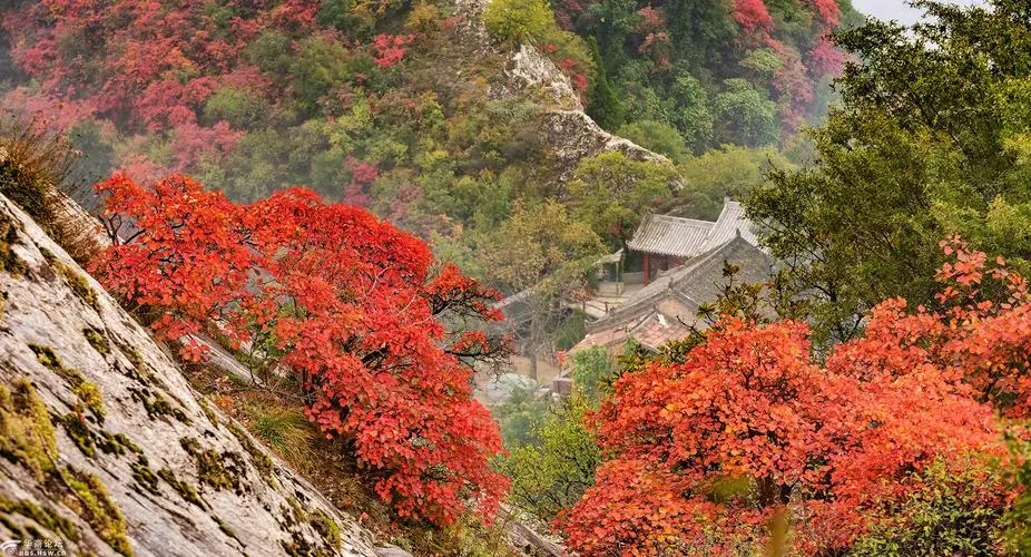 natural-scenery-in-cuihua-mountain natural-scenery-in-cuihua-mountain
