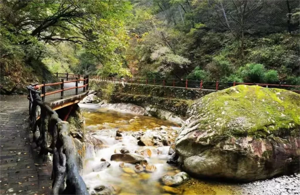 natural-scenery-in-taiping-natinal-forest-park-1024x666-1 natural-scenery-in-taiping-natinal-forest-park-1024x666-1