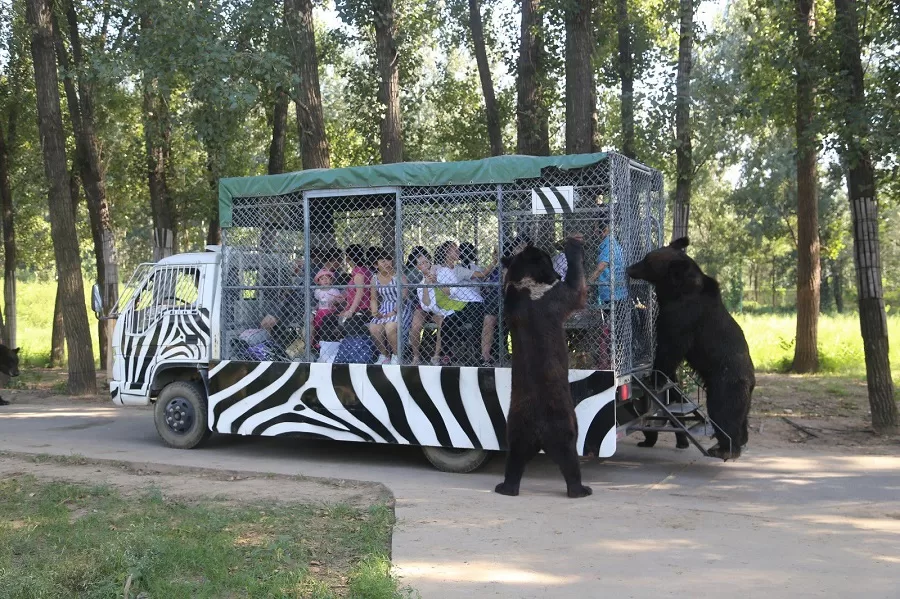 night-safari-in-badaling-wildlife-park-jpg night-safari-in-badaling-wildlife-park-jpg