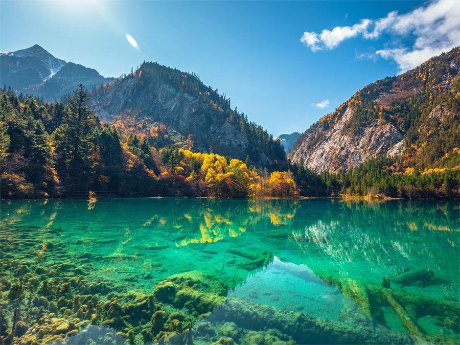 panda-lake-in-jiuzhai-valley panda-lake-in-jiuzhai-valley