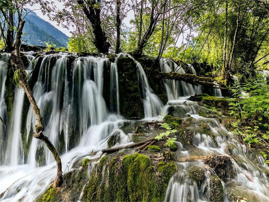 panda-lake-waterfall-in-jiuzhai-valley panda-lake-waterfall-in-jiuzhai-valley