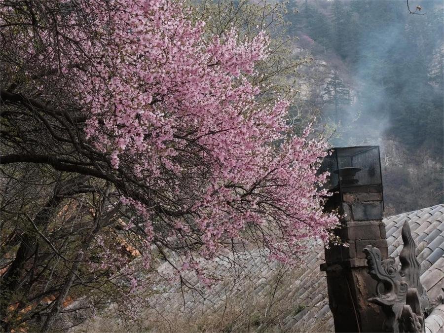 peach-blossom-cave-in-mount-heng peach-blossom-cave-in-mount-heng