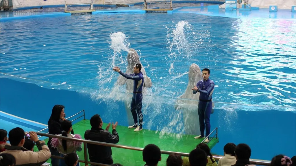 performance-in-qingdao-polar-ocean-world-1024x576-1