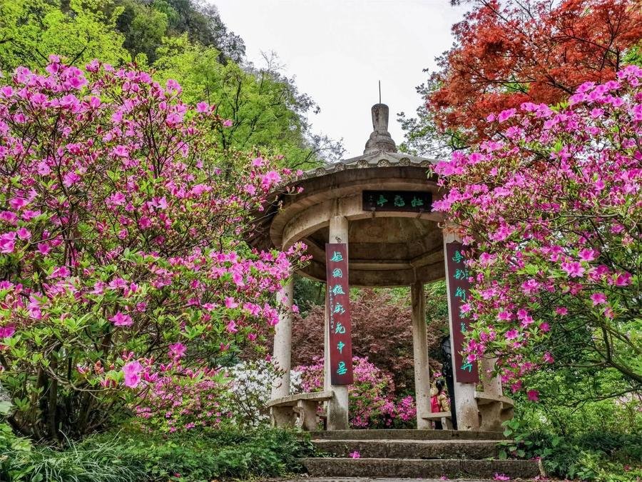putuo-mountain-in-severn-star-park-guilin putuo-mountain-in-severn-star-park-guilin