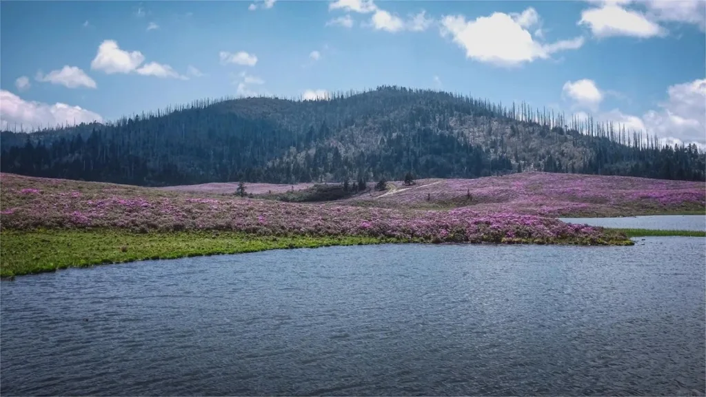 qianhu-mountain-shangrila-1024x576-3 qianhu-mountain-shangrila-1024x576-3