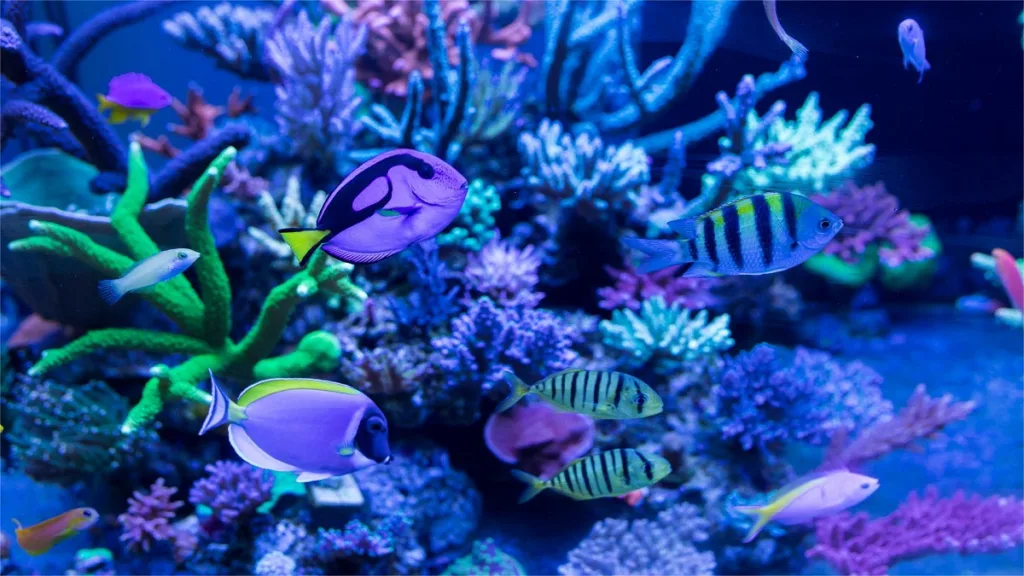 qingdao-underwater-world-1024x576-4 qingdao-underwater-world-1024x576-4