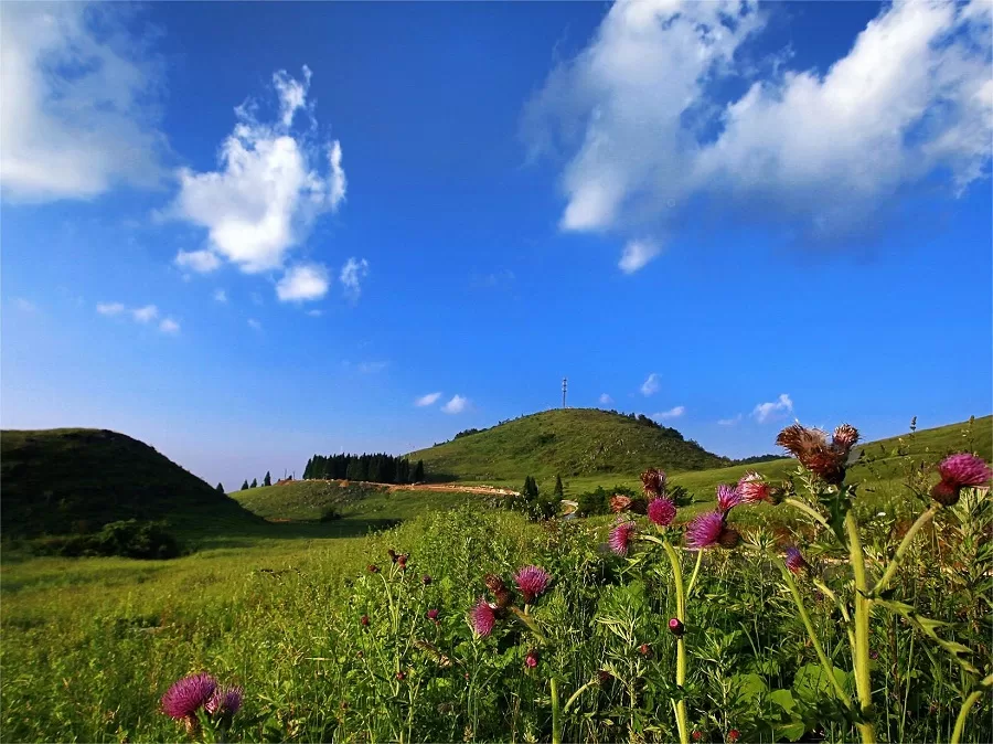 qishan-mountain-grassland-in-yunyang-longgang-scenic-area-jpg qishan-mountain-grassland-in-yunyang-longgang-scenic-area-jpg